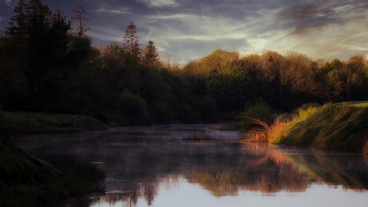 Stay Barrow Blueway - The Stables Monasterevin Exteriér fotografie